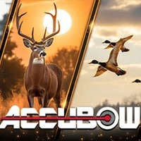 AccuBow VR