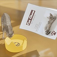Cat Home