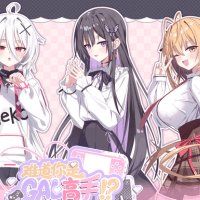 Could You Be a Gal Master?