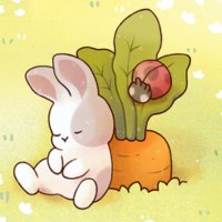 My Cozy Life