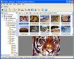 NConvert (64-bit)