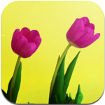Photo Player Pro for iOS
