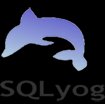 SQLyog (32 bit)