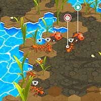 SuperColony