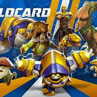 Wildcard